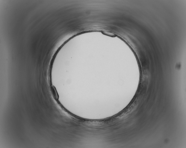 X0000096651293200803041141