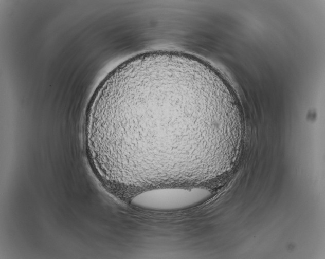 X0000096651295200803041141