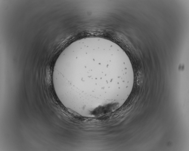 X0000096651298200803041140