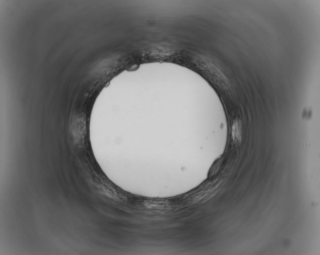 X0000096651299200803041140