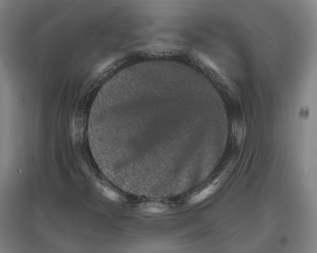 X0000096651300200803041140