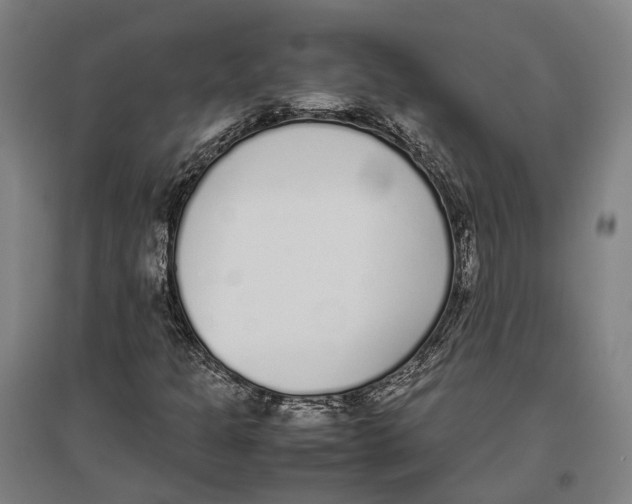 X0000096651301200803041140