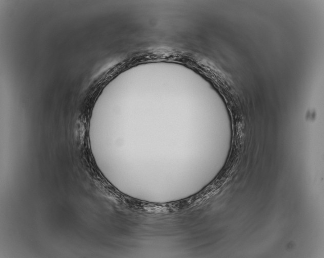 X0000096651302200803041140