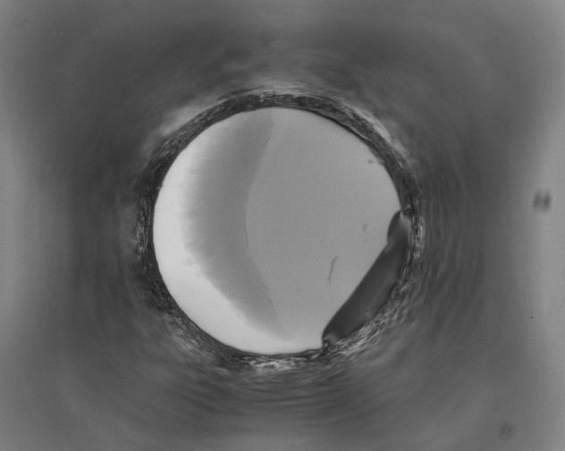 X0000096651303200803041140