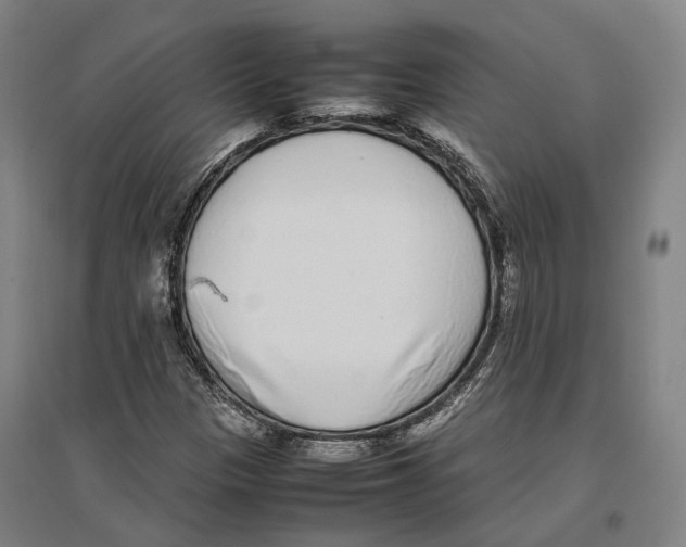 X0000096651305200803041140