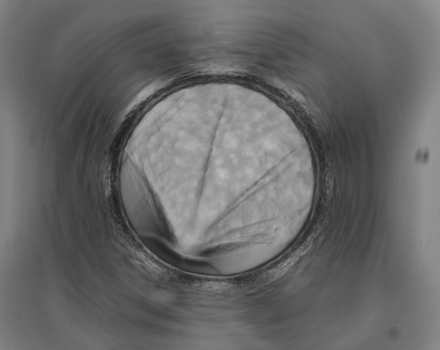 X0000096651306200803041140