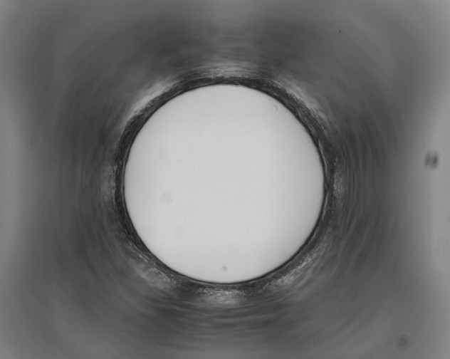 X0000096651309200803041140