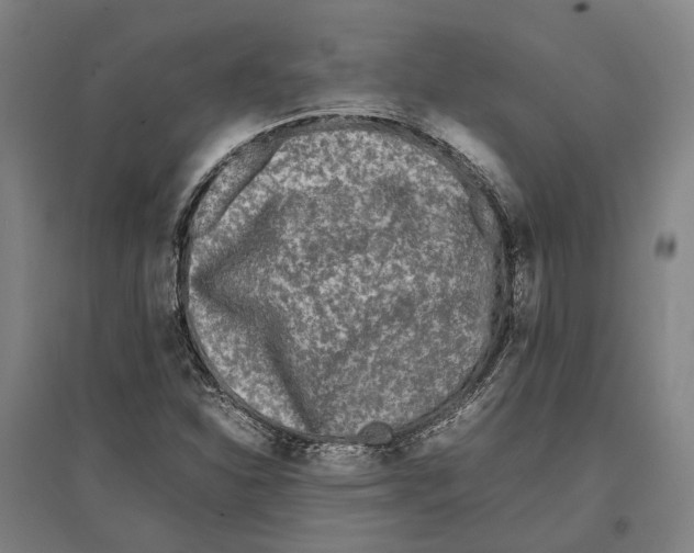 X0000096651310200803041140