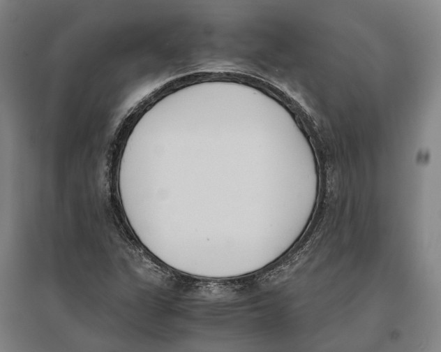 X0000096651311200803041140