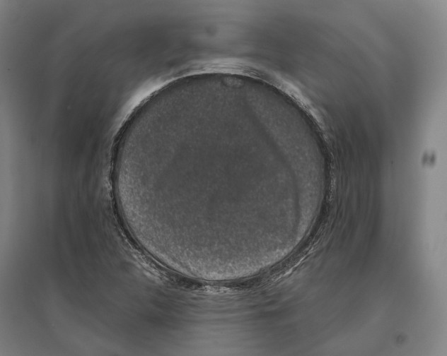 X0000096651312200803041140