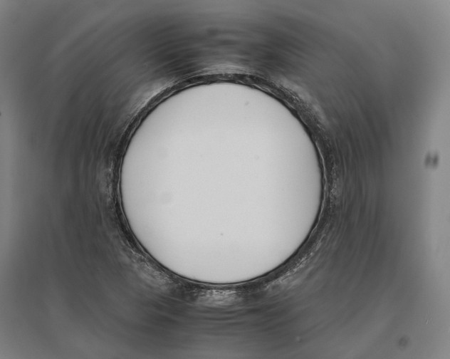 X0000096651313200803041140