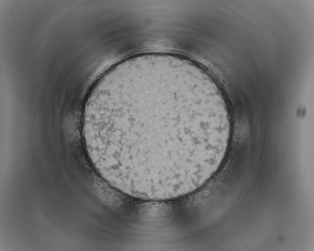 X0000096651314200803041140