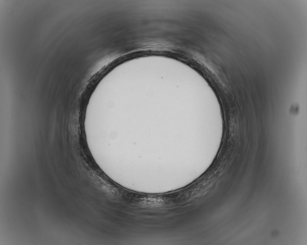 X0000096651315200803041140