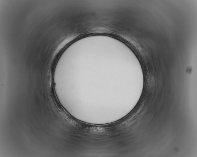 X0000096651317200803041140