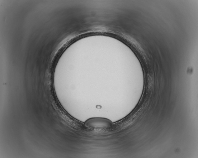 X0000096651318200803041140