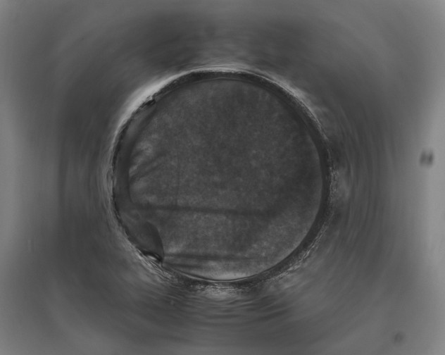 X0000096651319200803041140