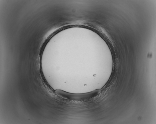 X0000096651320200803041141