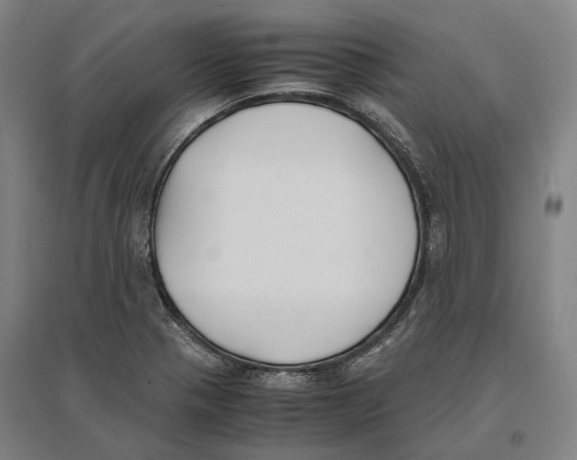 X0000096651321200803041141