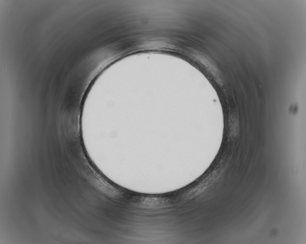 X0000096651322200803041141