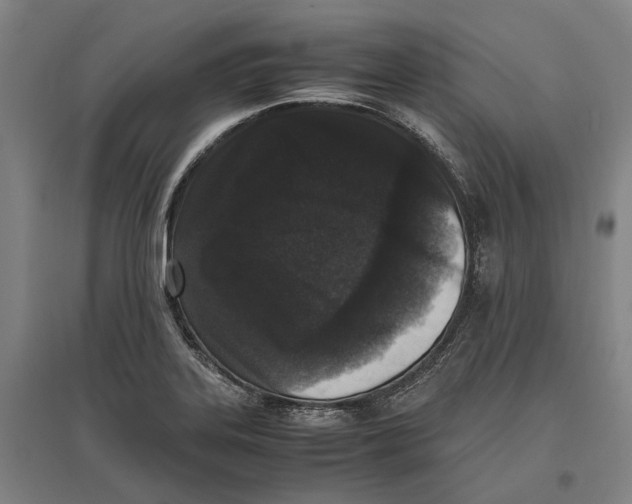 X0000096651323200803041141