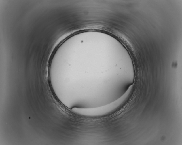 X0000096651324200803041141