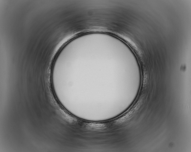 X0000096651325200803041141