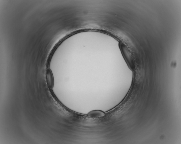 X0000096651326200803041141