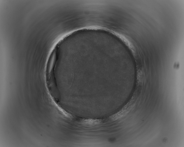 X0000096651327200803041141