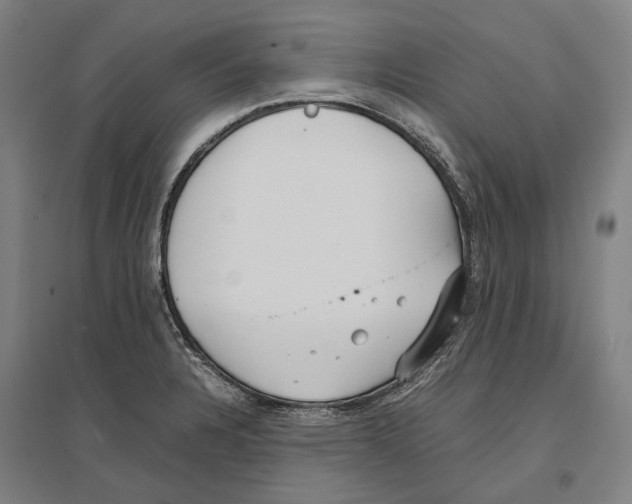 X0000096651328200803041141