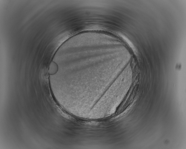 X0000096651329200803041141