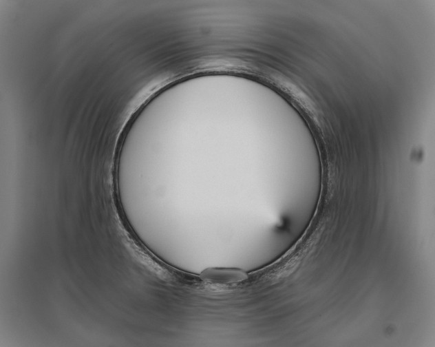 X0000096651330200803041141