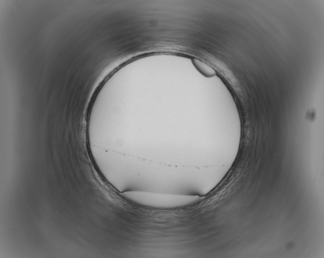 X0000096651332200803041141