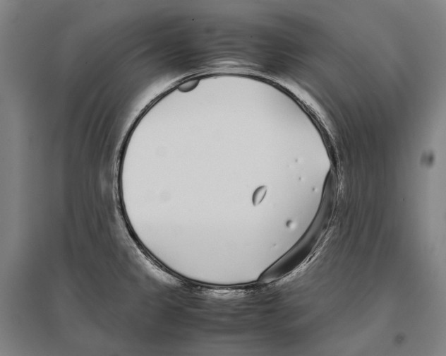 X0000096651333200803041141