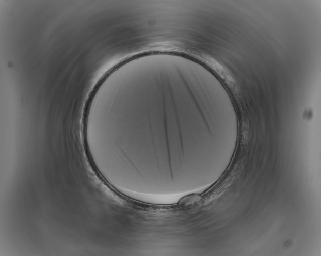 X0000096651334200803041141