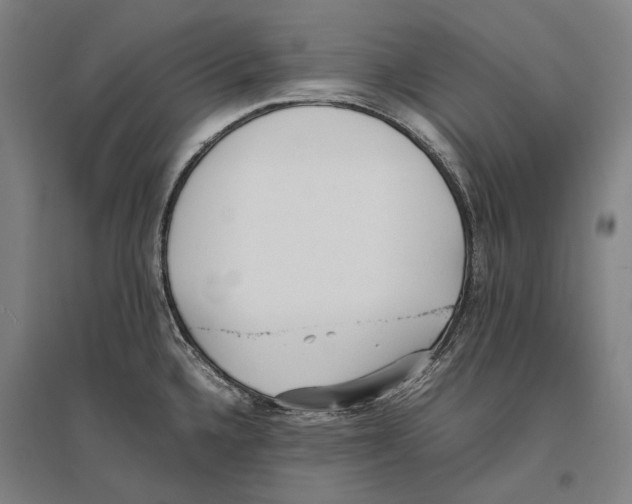 X0000096651336200803041141