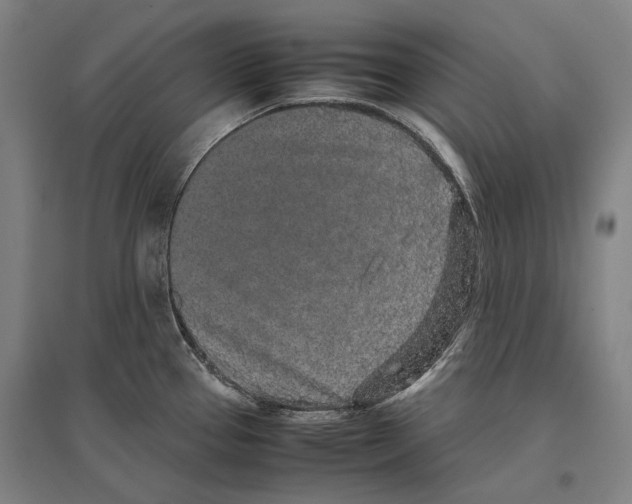 X0000096651337200803041141