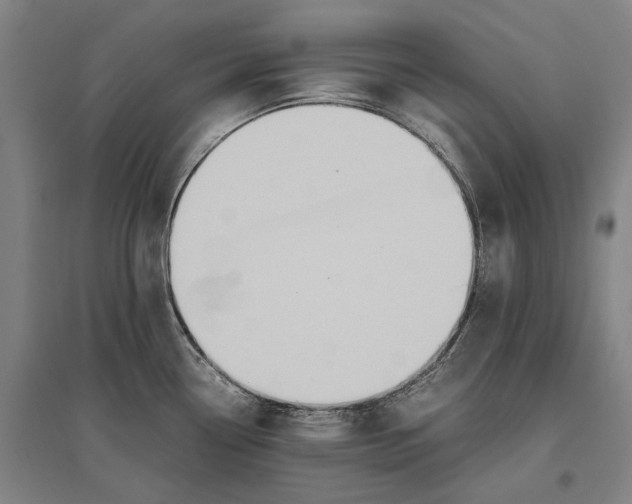 X0000096651338200803041141