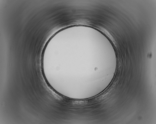 X0000096651339200803041141