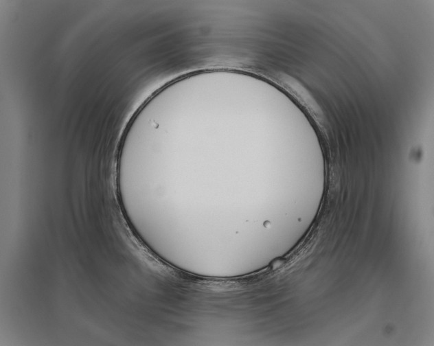 X0000096651340200803041141