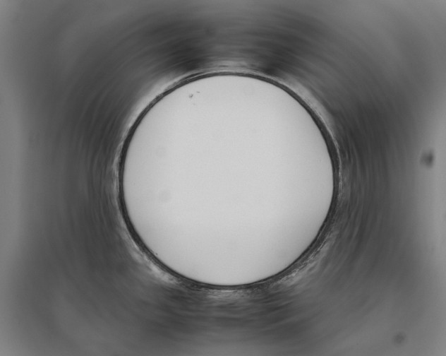 X0000096651341200803041141