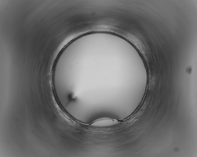 X0000096651342200803041141