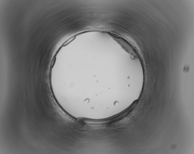 X0000096651344200803041141