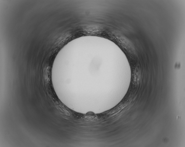 X0000096651346200803041140