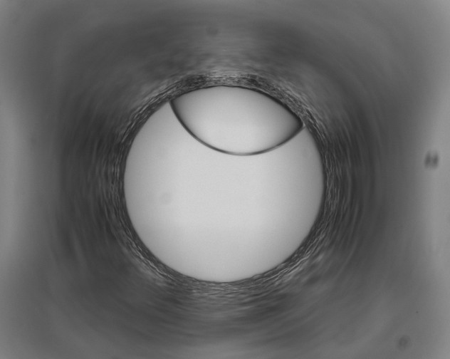 X0000096651348200803041140