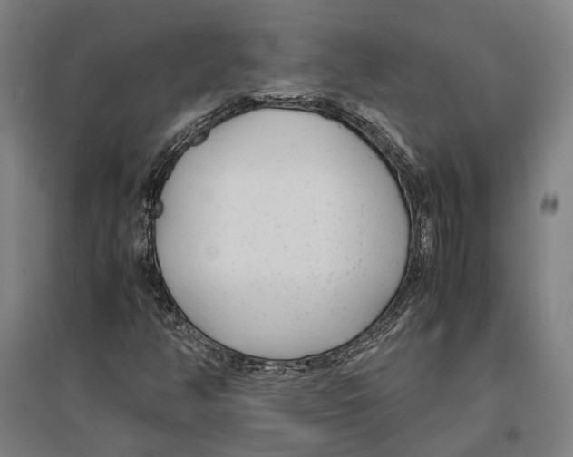 X0000096651350200803041140