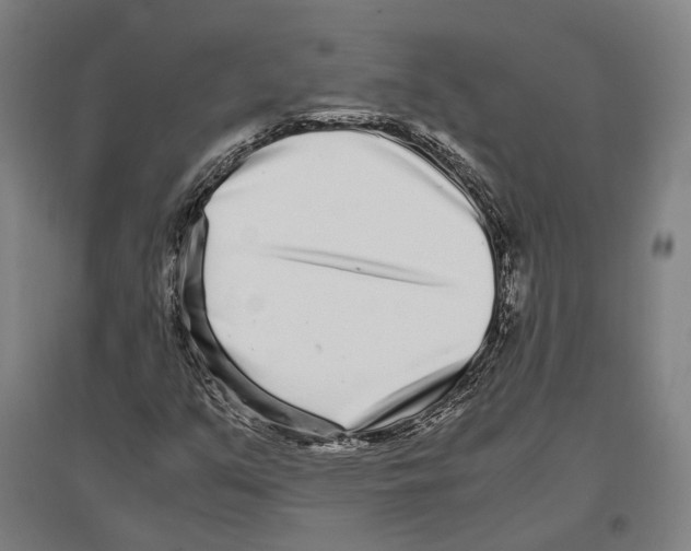 X0000096651351200803041140