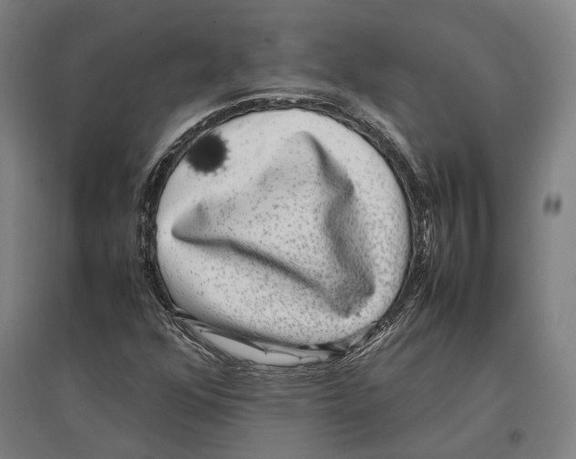 X0000096651352200803041140