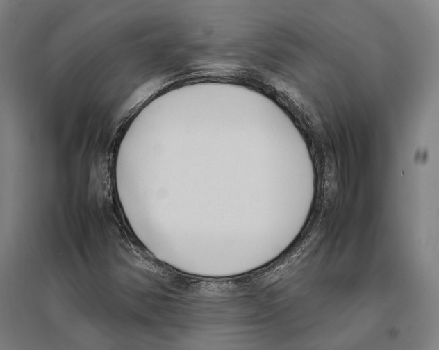 X0000096651354200803041140