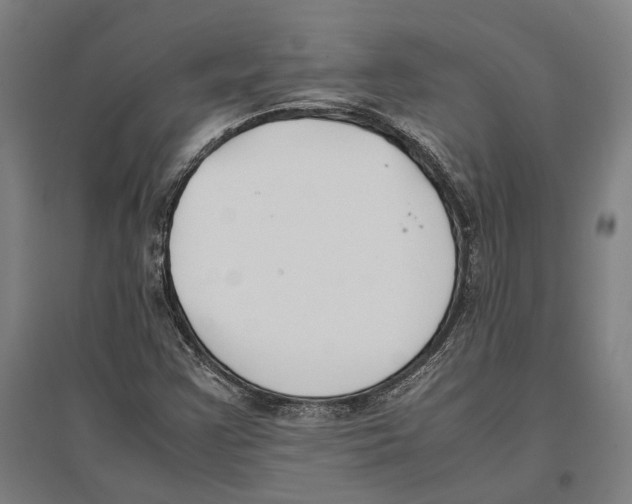 X0000096651355200803041140