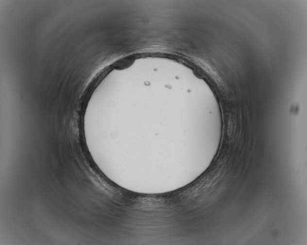 X0000096651356200803041140